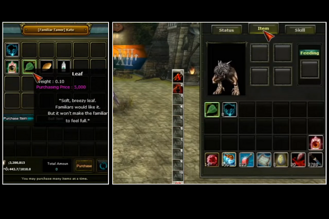 Knight Online Pet Nasıl Beslenir