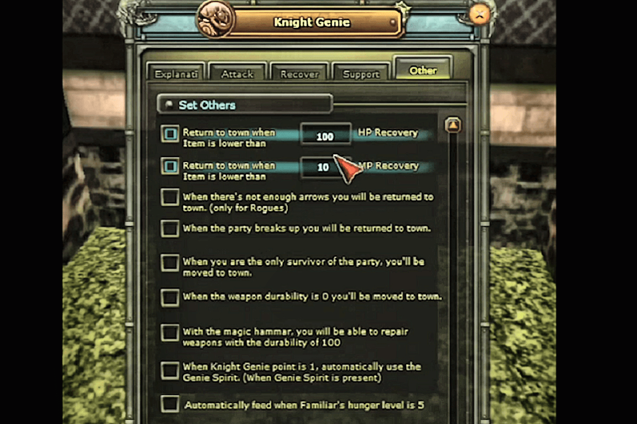 genie other ayarları