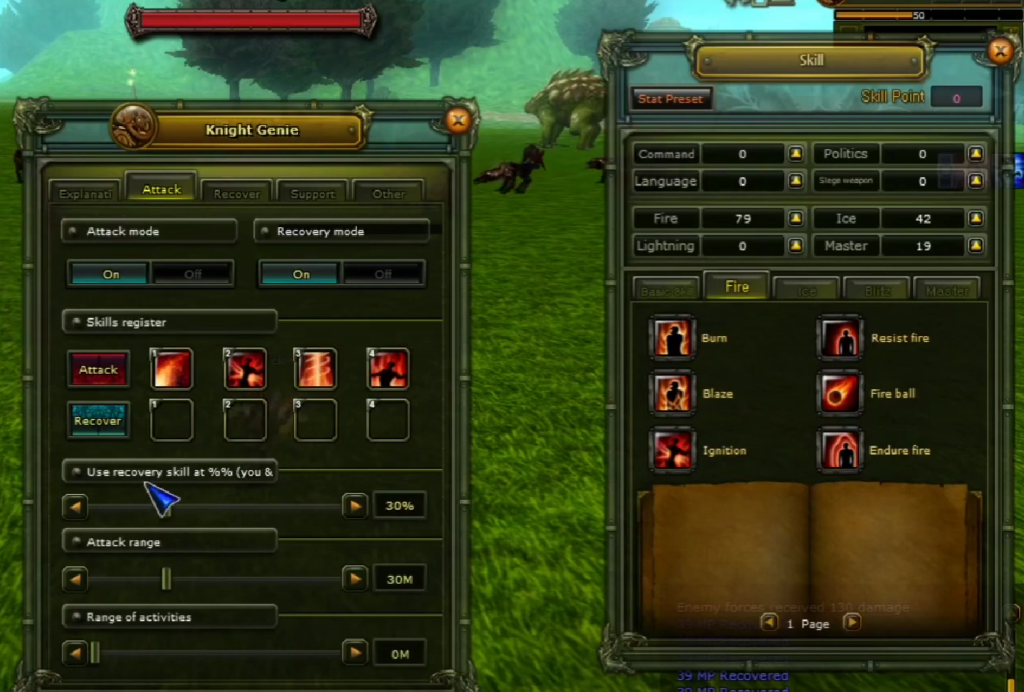 Knight Online Mage Genie ayarları