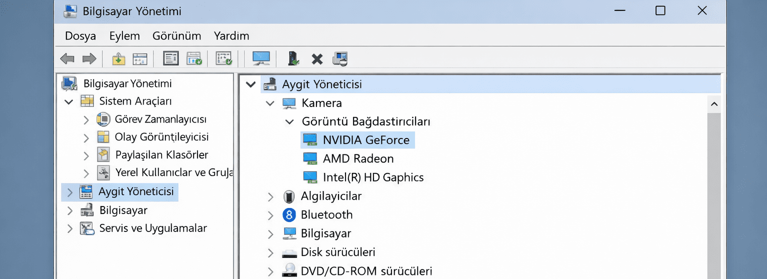 Aygıt Yöneticisi grafik kartları